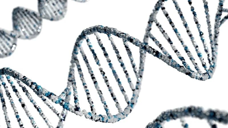 A blue-toned DNA double helix — the molecular biology at the heart of IBDP Biology.