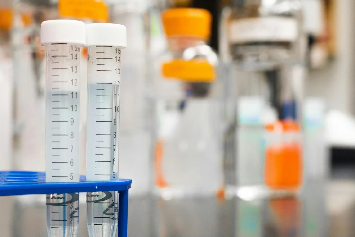A biology study session — the cells, systems and ecosystems at the heart of O Level Biology.